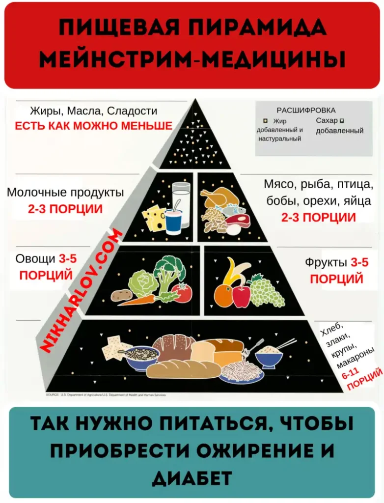 Рейтинг биологической ценности пищи Доктор Никита старая пирамида питания