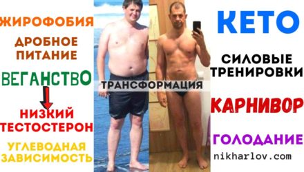 Карнивор Кето Диета отзывы и результаты после Веганства